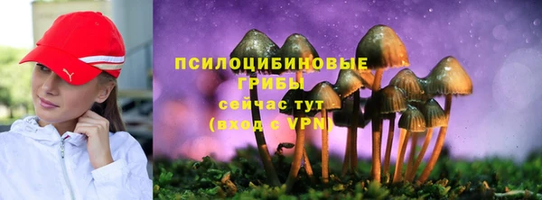 ешки Горно-Алтайск
