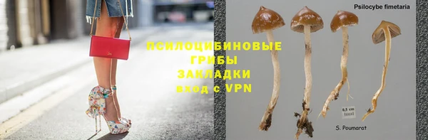ешки Горно-Алтайск