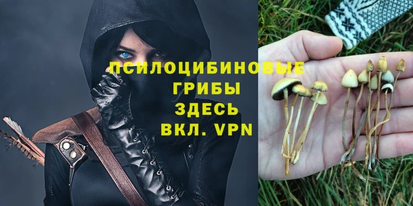соль ск Горняк