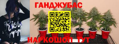 дмт Гусев