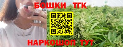 дмт Гусев