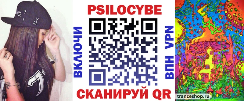 где купить наркоту  Мценск  Псилоцибиновые грибы Psilocybe 